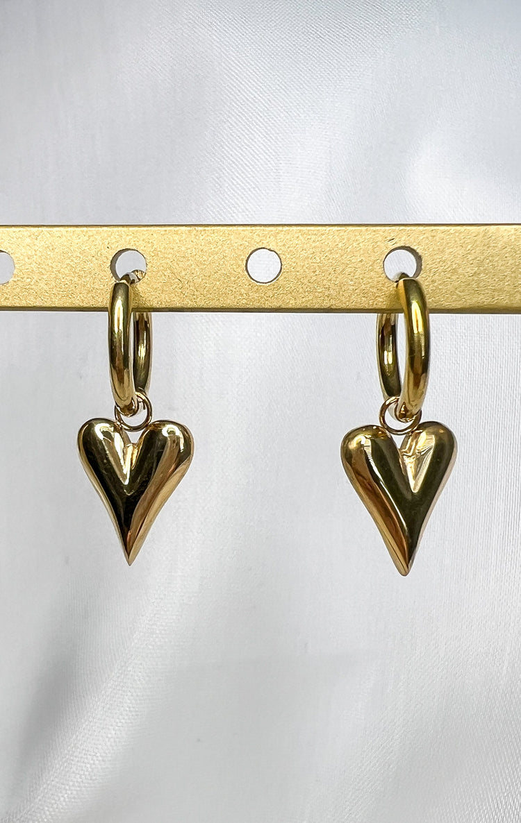Stainless Steel/Plated Earrings
